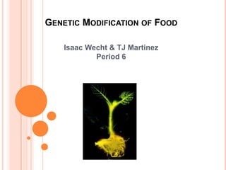Genetic Modification of Food,[object Object],Isaac Wecht & TJ Martinez ,[object Object],Period 6,[object Object]