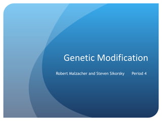 Genetic Modification Robert Malzacher and Steven Sikorsky  Period 4 