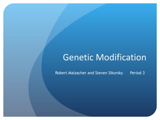 Genetic Modification Robert Malzacher and Steven Sikorsky  Period 3 