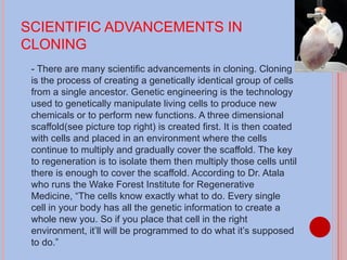 SCIENTIFIC ADVANCEMENTS IN CLONING - There are many scientific advancements in cloning. Cloning is the process of creating a genetically identical group of cells from a single ancestor. Genetic engineering is the technology used to genetically manipulate living cells to produce new chemicals or to perform new functions. A three dimensional scaffold(see picture top right) is created first. It is then coated with cells and placed in an environment where the cells continue to multiply and gradually cover the scaffold. The key to regeneration is to isolate them then multiply those cells until there is enough to cover the scaffold. According to Dr. Atala who runs the Wake Forest Institute for Regenerative Medicine, “The cells know exactly what to do. Every single cell in your body has all the genetic information to create a whole new you. So if you place that cell in the right environment, it’ll will be programmed to do what it’s supposed to do.” 