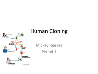 Human Cloning Mickey Reeves Period 1 