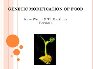 GENETIC MODIFICATION OF FOOD Isaac Wecht & TJ Martinez  Period 6 