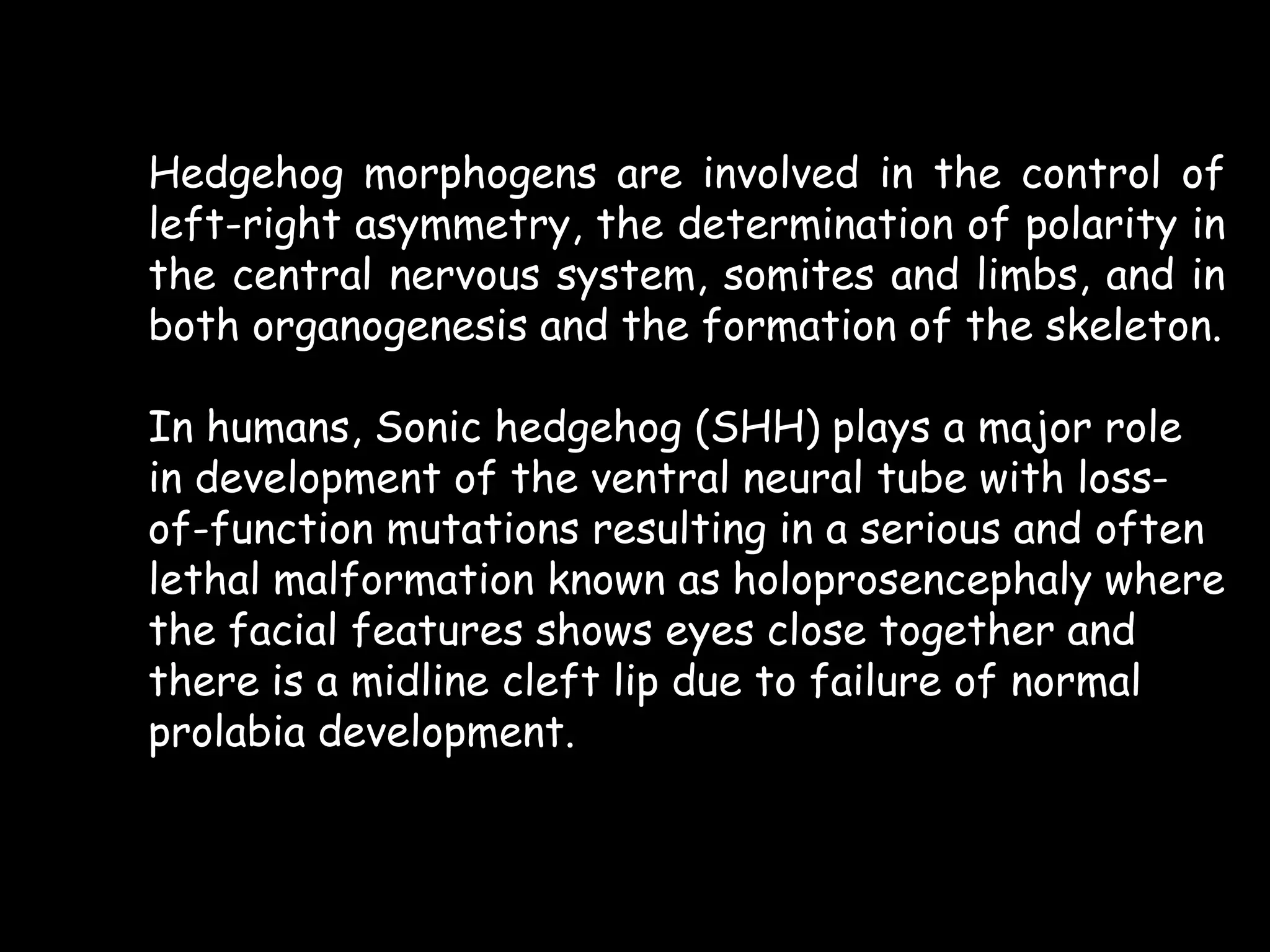 Hedgehog morphogens are involved in the control of
left-right asymmetry, the determination of polarity in
the central nervous system, somites and limbs, and in
both organogenesis and the formation of the skeleton.
In humans, Sonic hedgehog (SHH) plays a major role
in development of the ventral neural tube with lossof-function mutations resulting in a serious and often
lethal malformation known as holoprosencephaly where
the facial features shows eyes close together and
there is a midline cleft lip due to failure of normal
prolabia development.

 