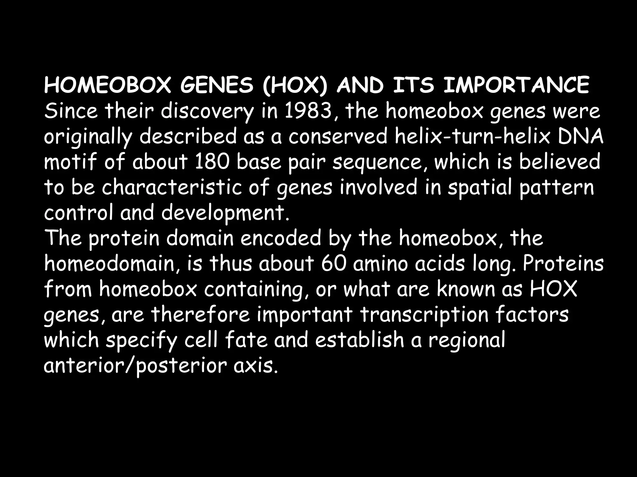 HOMEOBOX GENES (HOX) AND ITS IMPORTANCE
Since their discovery in 1983, the homeobox genes were
originally described as a conserved helix-turn-helix DNA
motif of about 180 base pair sequence, which is believed
to be characteristic of genes involved in spatial pattern
control and development.
The protein domain encoded by the homeobox, the
homeodomain, is thus about 60 amino acids long. Proteins
from homeobox containing, or what are known as HOX
genes, are therefore important transcription factors
which specify cell fate and establish a regional
anterior/posterior axis.

 