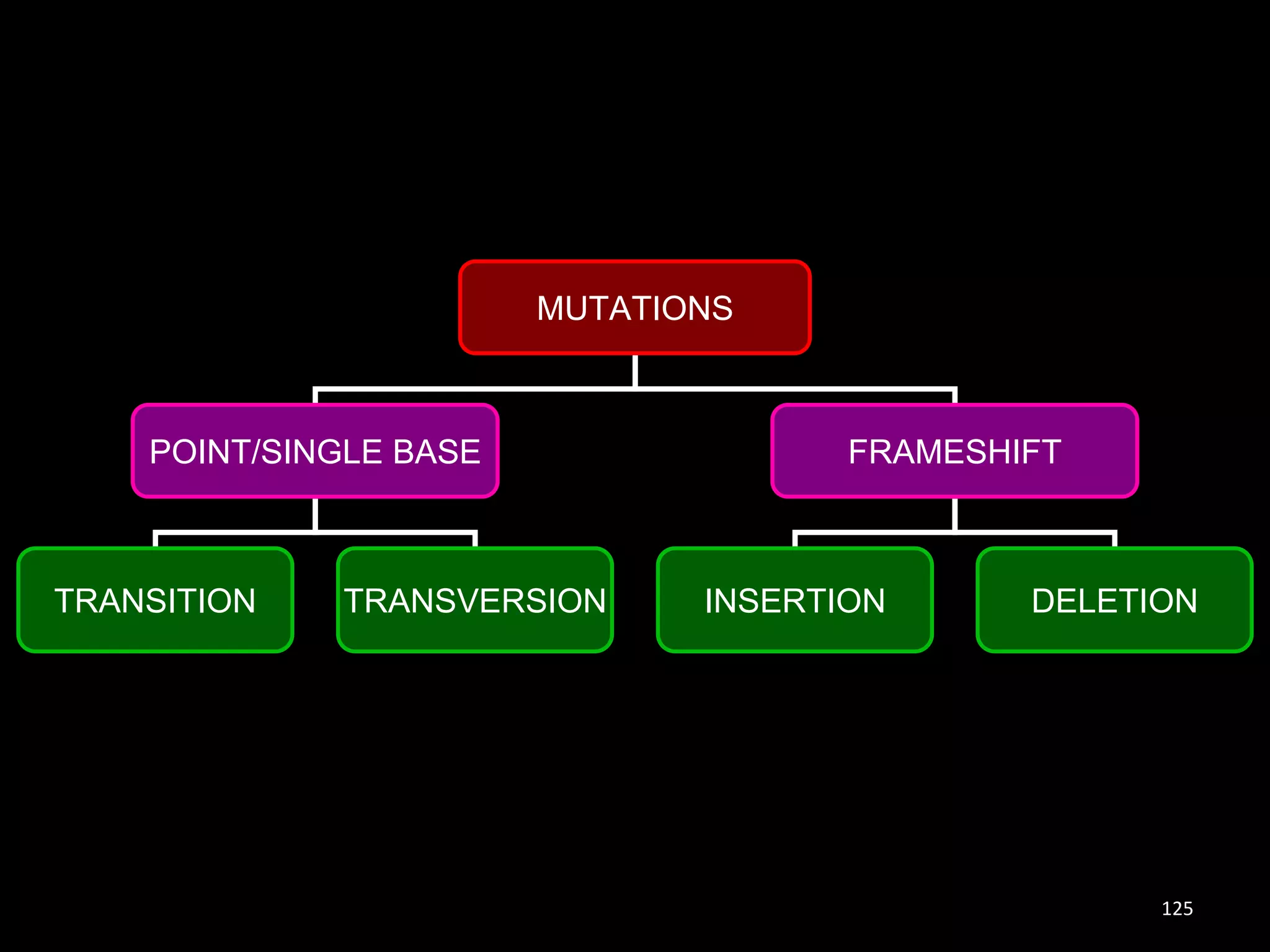 MUTATIONS

POINT/SINGLE BASE

TRANSITION

TRANSVERSION

FRAMESHIFT

INSERTION

DELETION

125

 