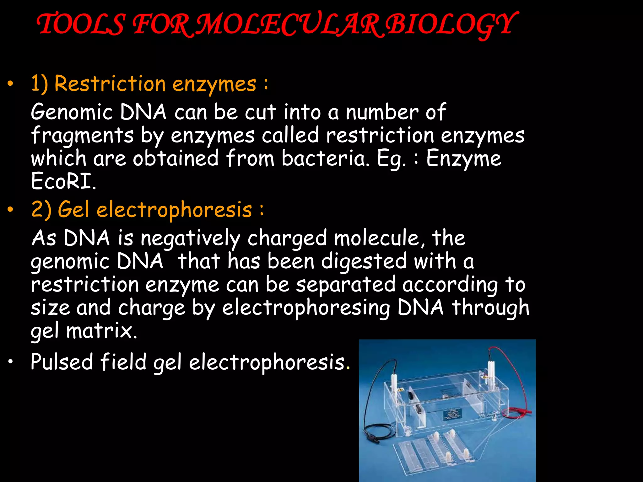 TOOLS FOR MOLECULAR BIOLOGY
• 1) Restriction enzymes :
Genomic DNA can be cut into a number of
fragments by enzymes called restriction enzymes
which are obtained from bacteria. Eg. : Enzyme
EcoRI.
• 2) Gel electrophoresis :
As DNA is negatively charged molecule, the
genomic DNA that has been digested with a
restriction enzyme can be separated according to
size and charge by electrophoresing DNA through
gel matrix.
• Pulsed field gel electrophoresis.

 