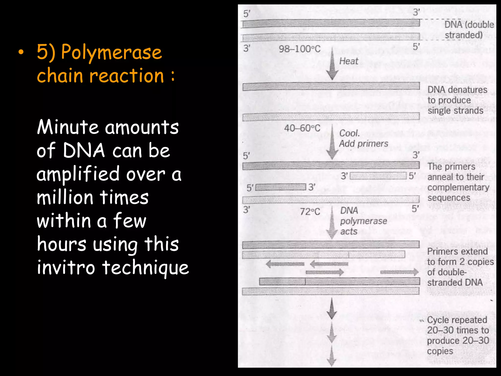 • 5) Polymerase
chain reaction :

Minute amounts
of DNA can be
amplified over a
million times
within a few
hours using this
invitro technique

 