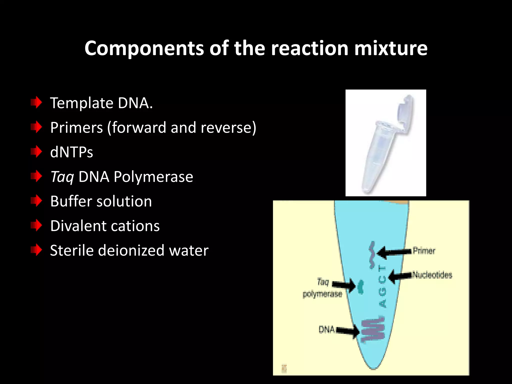 Components of the reaction mixture
Template DNA.
Primers (forward and reverse)
dNTPs
Taq DNA Polymerase
Buffer solution
Divalent cations
Sterile deionized water

 