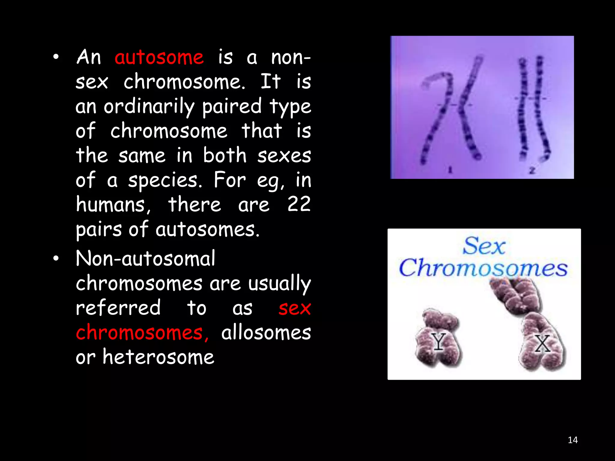 • An autosome is a nonsex chromosome. It is
an ordinarily paired type
of chromosome that is
the same in both sexes
of a species. For eg, in
humans, there are 22
pairs of autosomes.
• Non-autosomal
chromosomes are usually
referred to as sex
chromosomes, allosomes
or heterosome

14

 