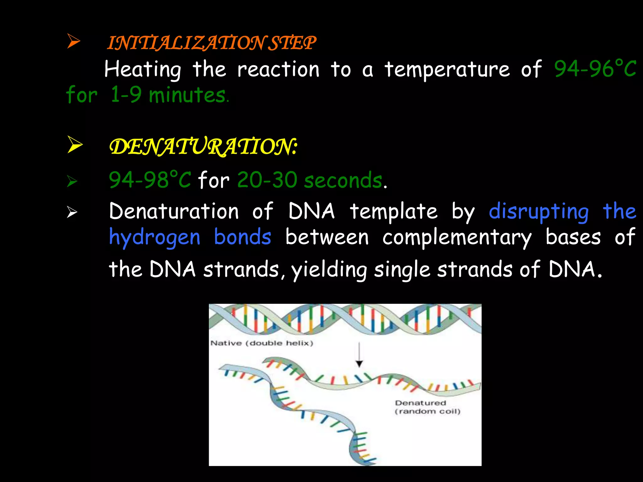 

INITIALIZATION STEP
Heating the reaction to a temperature of 94-96°C
for 1-9 minutes.

 DENATURATION:



94-98°C for 20-30 seconds.
Denaturation of DNA template by disrupting the
hydrogen bonds between complementary bases of
the DNA strands, yielding single strands of DNA.

 