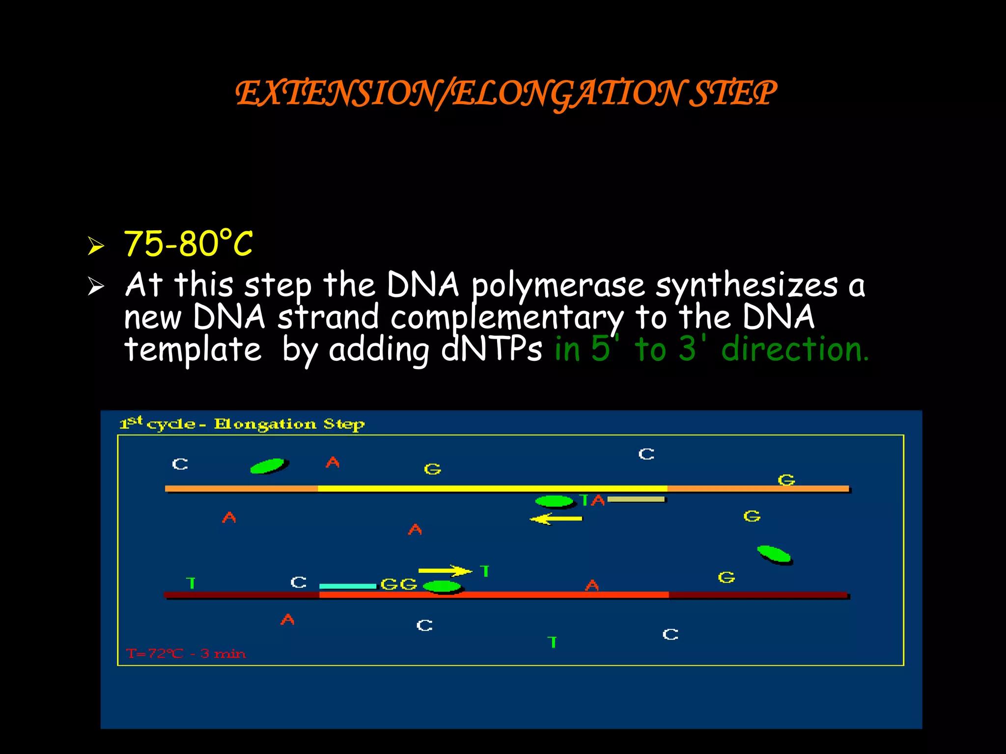 EXTENSION/ELONGATION STEP




75-80°C
At this step the DNA polymerase synthesizes a
new DNA strand complementary to the DNA
template by adding dNTPs in 5' to 3' direction.

 