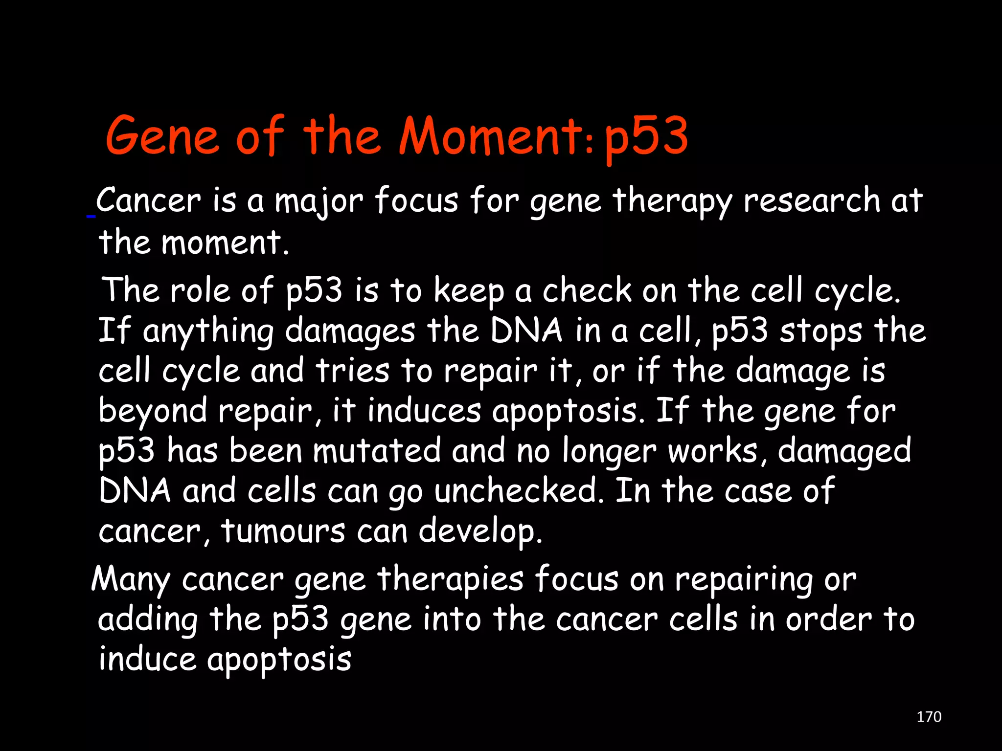 Gene of the Moment: p53
Cancer is a major focus for gene therapy research at
the moment.
The role of p53 is to keep a check on the cell cycle.
If anything damages the DNA in a cell, p53 stops the
cell cycle and tries to repair it, or if the damage is
beyond repair, it induces apoptosis. If the gene for
p53 has been mutated and no longer works, damaged
DNA and cells can go unchecked. In the case of
cancer, tumours can develop.
Many cancer gene therapies focus on repairing or
adding the p53 gene into the cancer cells in order to
induce apoptosis
170

 