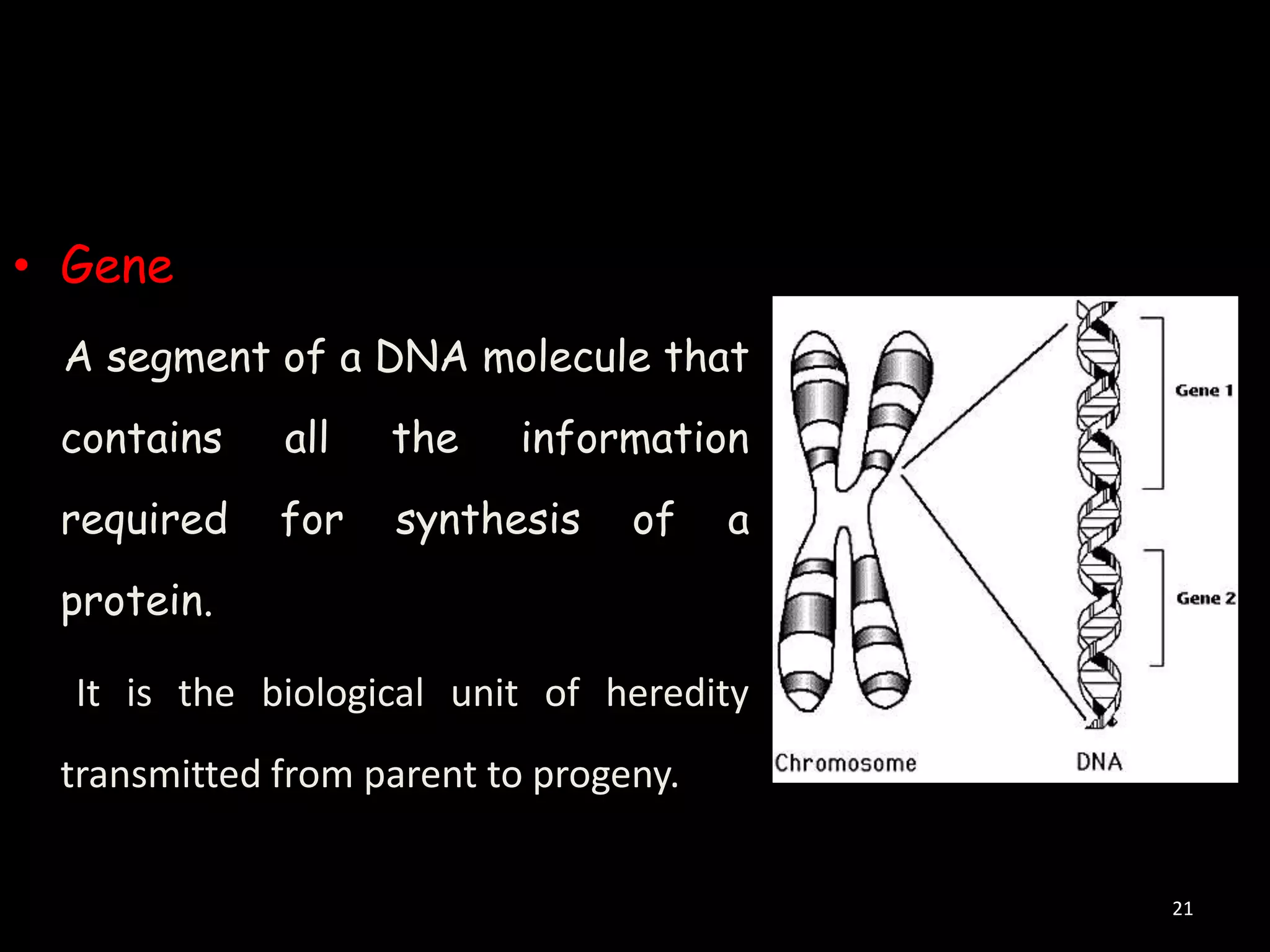 • Gene
A segment of a DNA molecule that
contains

all

the

information

required

for

synthesis

of

a

protein.
It is the biological unit of heredity

transmitted from parent to progeny.
21

 