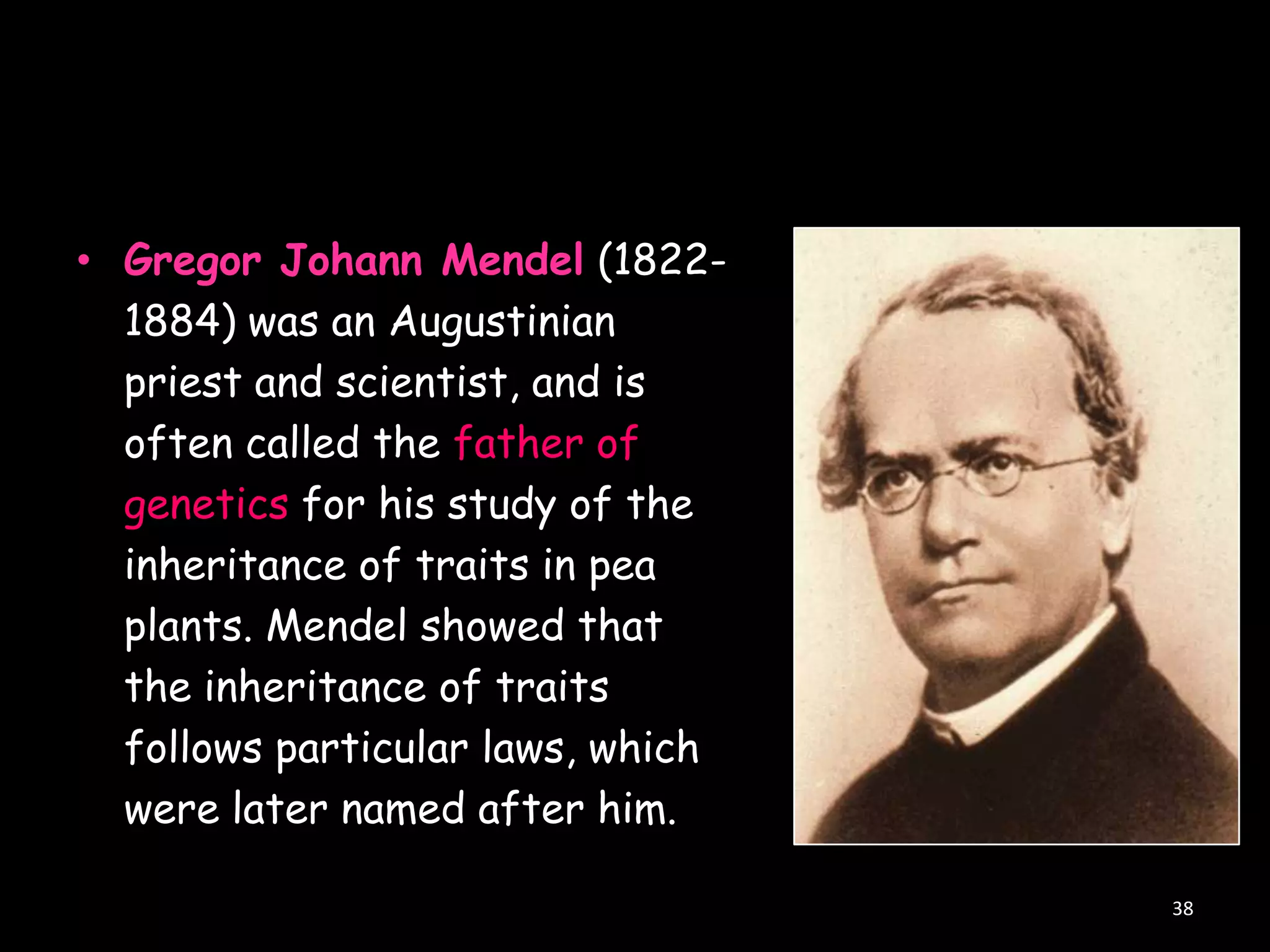 • Gregor Johann Mendel (18221884) was an Augustinian
priest and scientist, and is
often called the father of
genetics for his study of the
inheritance of traits in pea
plants. Mendel showed that
the inheritance of traits
follows particular laws, which
were later named after him.
38

 
