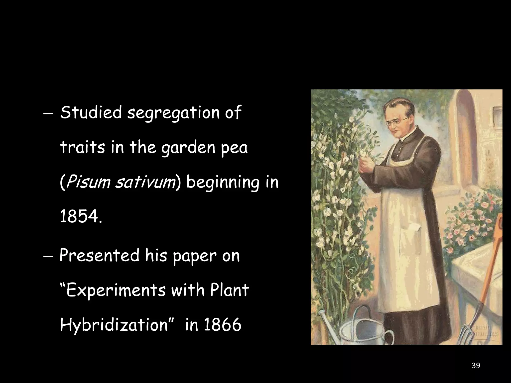 – Studied segregation of

traits in the garden pea
(Pisum sativum) beginning in
1854.
– Presented his paper on
“Experiments with Plant
Hybridization” in 1866
39

 