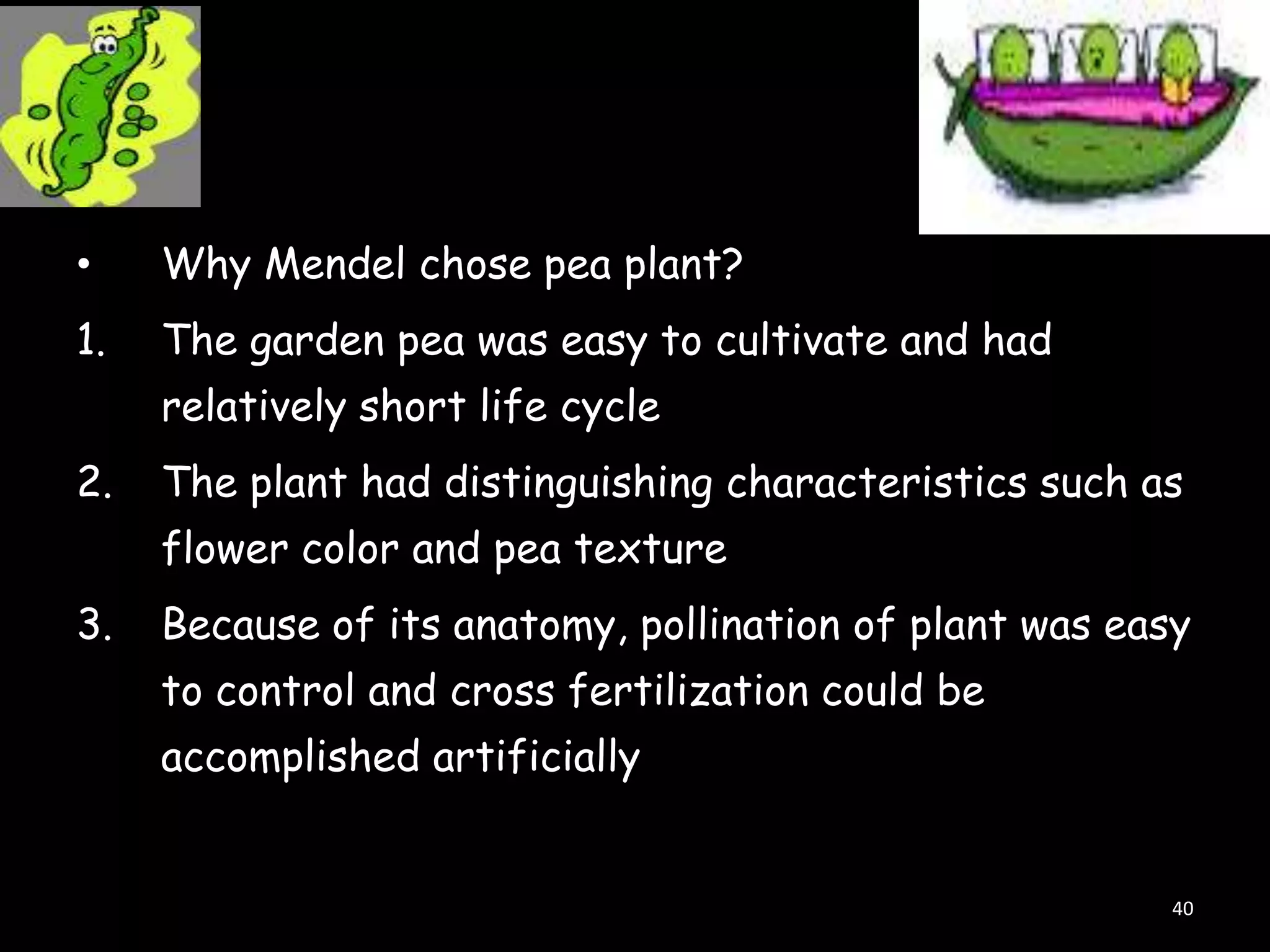 •

Why Mendel chose pea plant?

1.

The garden pea was easy to cultivate and had
relatively short life cycle

2.

The plant had distinguishing characteristics such as

flower color and pea texture
3.

Because of its anatomy, pollination of plant was easy
to control and cross fertilization could be

accomplished artificially

40

 