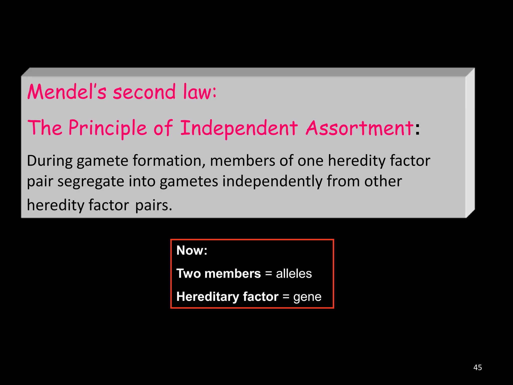 Mendel‟s second law:
The Principle of Independent Assortment:
During gamete formation, members of one heredity factor
pair segregate into gametes independently from other
heredity factor pairs.
Now:
Two members = alleles
Hereditary factor = gene

45

 