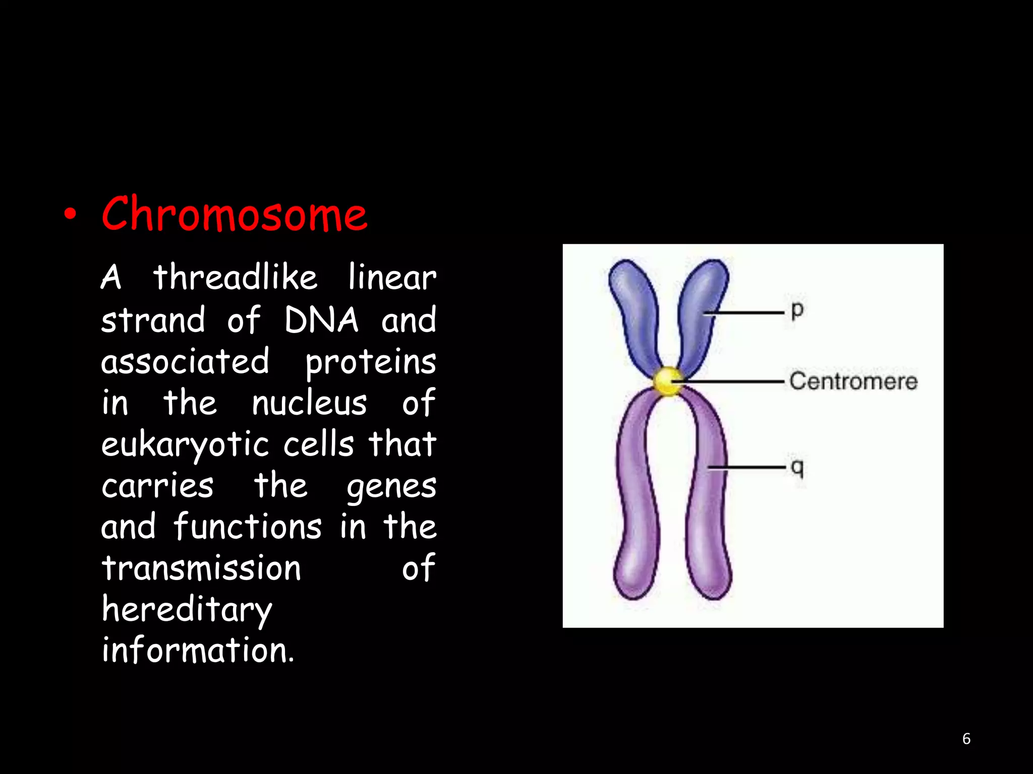 • Chromosome
A threadlike linear
strand of DNA and
associated proteins
in the nucleus of
eukaryotic cells that
carries the genes
and functions in the
transmission
of
hereditary
information.
6

 