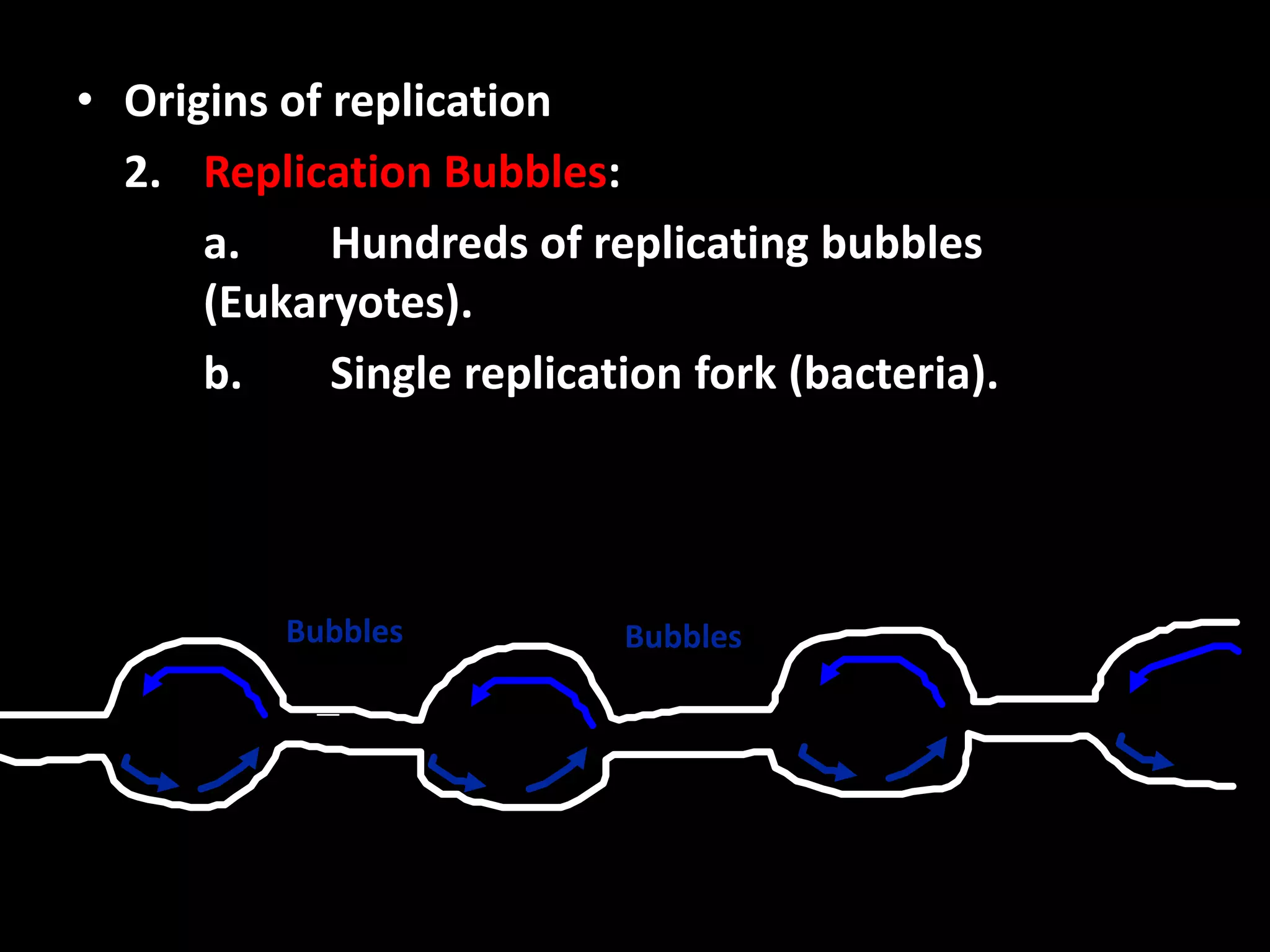 • Origins of replication
2. Replication Bubbles:
a.
Hundreds of replicating bubbles
(Eukaryotes).
b.
Single replication fork (bacteria).

Bubbles

Bubbles

 