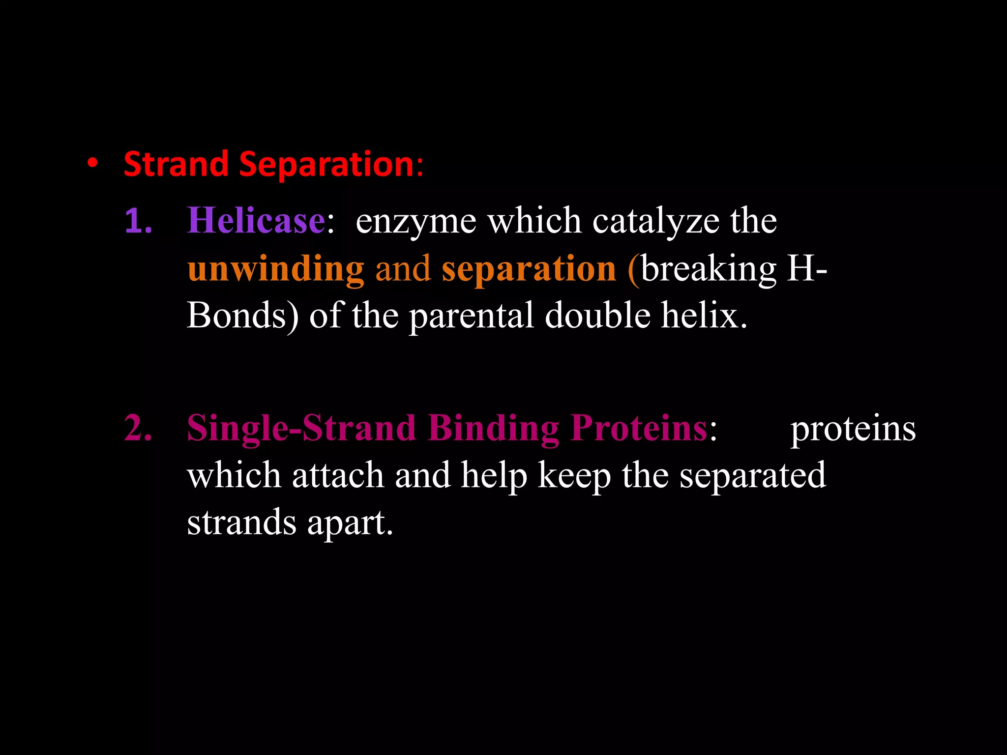 • Strand Separation:
1. Helicase: enzyme which catalyze the
unwinding and separation (breaking HBonds) of the parental double helix.

2. Single-Strand Binding Proteins:
proteins
which attach and help keep the separated
strands apart.

 