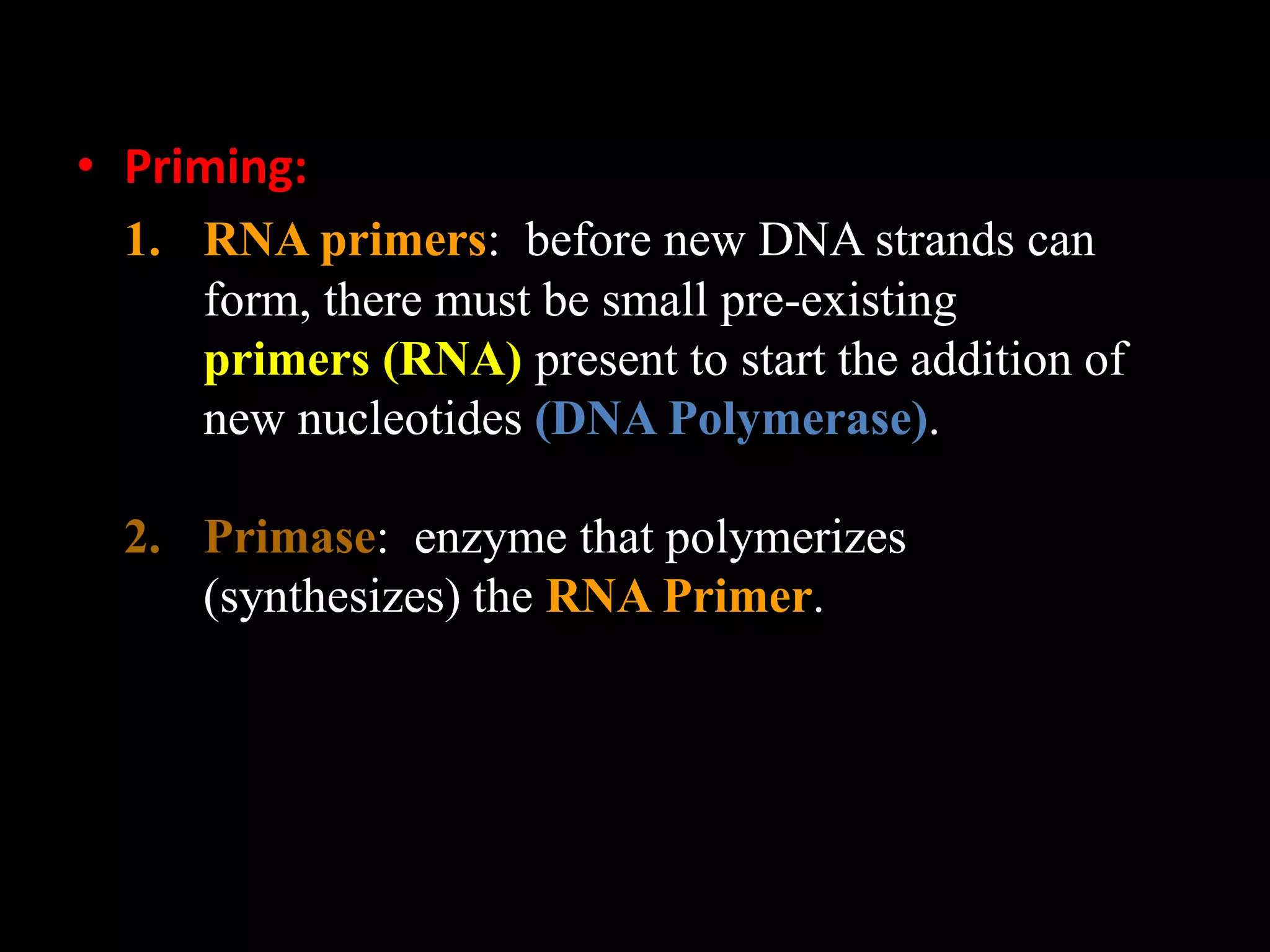 • Priming:
1. RNA primers: before new DNA strands can
form, there must be small pre-existing
primers (RNA) present to start the addition of
new nucleotides (DNA Polymerase).

2. Primase: enzyme that polymerizes
(synthesizes) the RNA Primer.

 