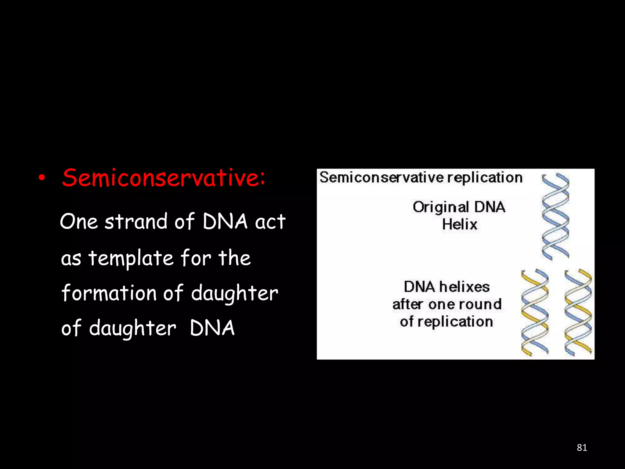 • Semiconservative:
One strand of DNA act

as template for the
formation of daughter
of daughter DNA

81

 