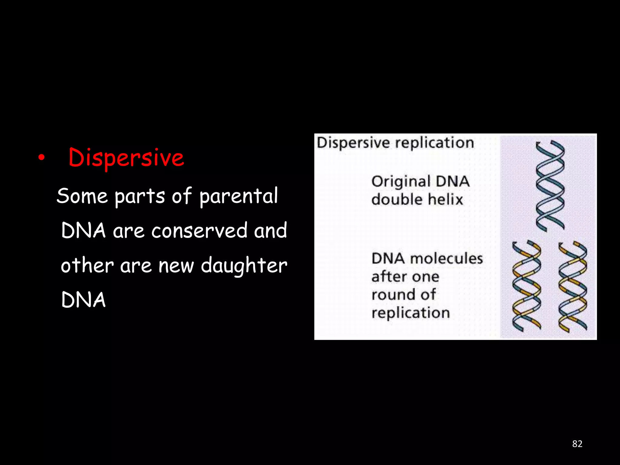• Dispersive
Some parts of parental
DNA are conserved and

other are new daughter
DNA

82

 