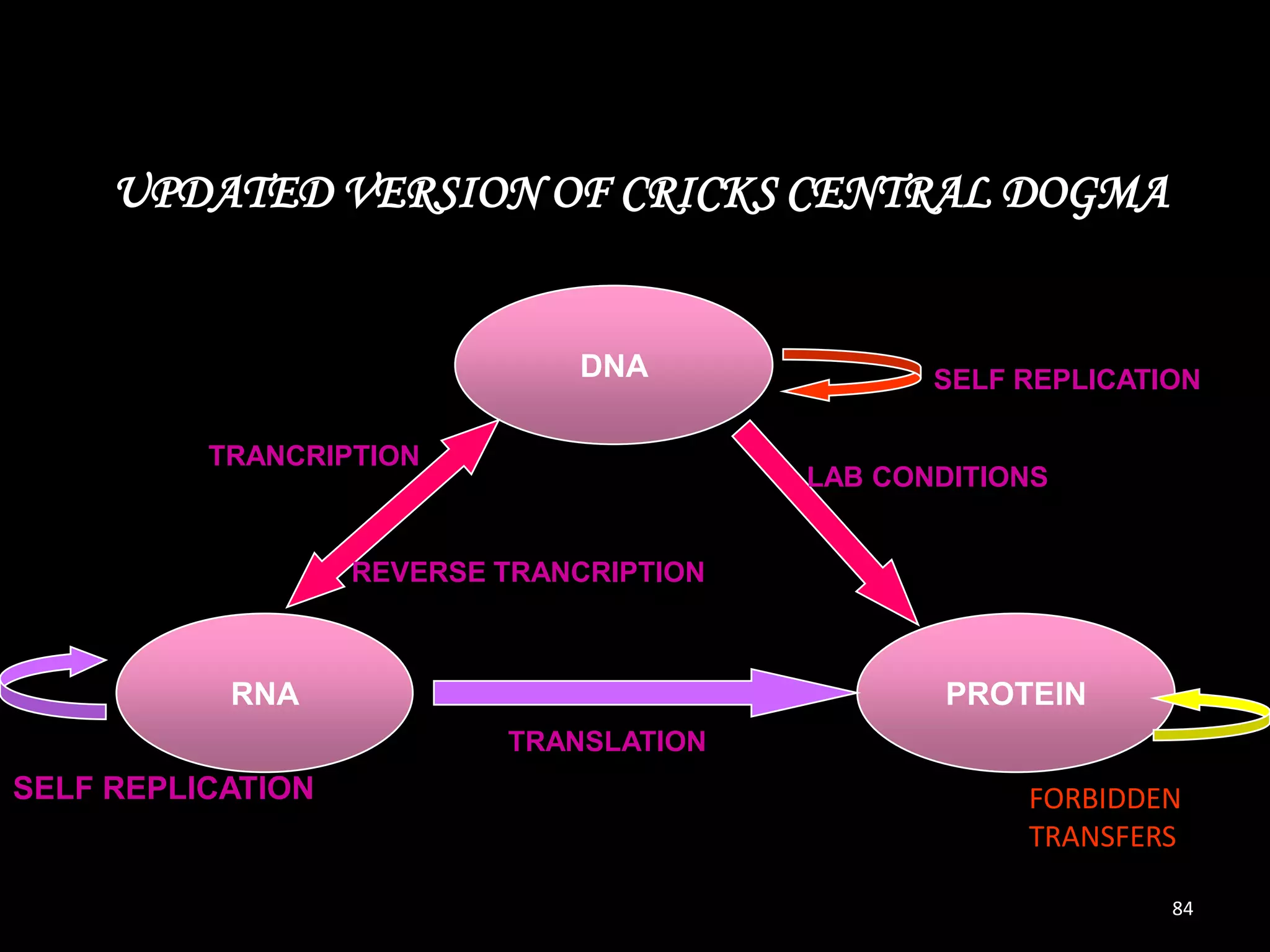 UPDATED VERSION OF CRICKS CENTRAL DOGMA

DNA
TRANCRIPTION

SELF REPLICATION

LAB CONDITIONS

REVERSE TRANCRIPTION

RNA

PROTEIN
TRANSLATION

SELF REPLICATION

FORBIDDEN
TRANSFERS
84

 