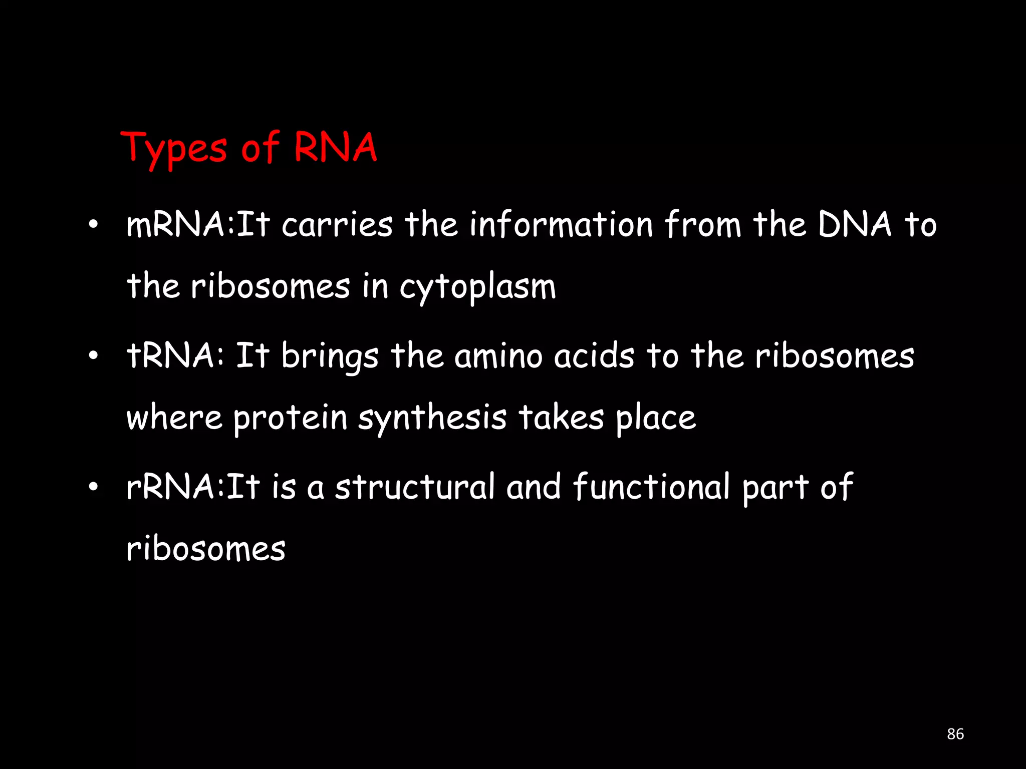 Types of RNA
• mRNA:It carries the information from the DNA to

the ribosomes in cytoplasm
• tRNA: It brings the amino acids to the ribosomes
where protein synthesis takes place
• rRNA:It is a structural and functional part of
ribosomes

86

 