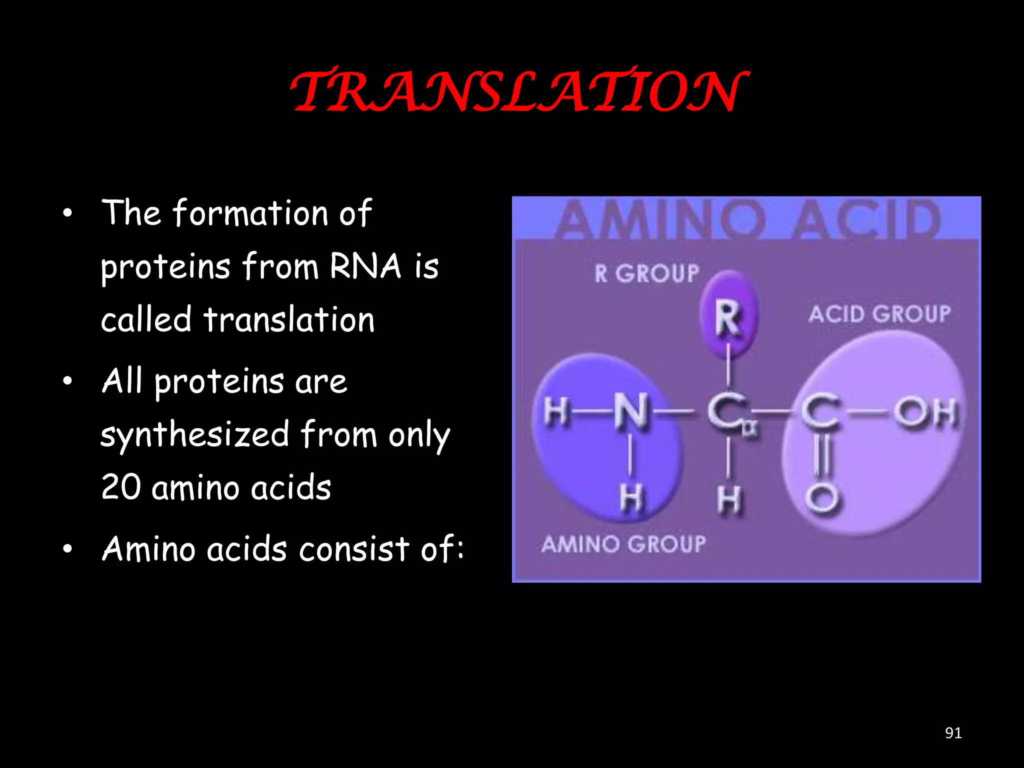 TRANSLATION
• The formation of

proteins from RNA is
called translation
• All proteins are

synthesized from only
20 amino acids
• Amino acids consist of:

91

 