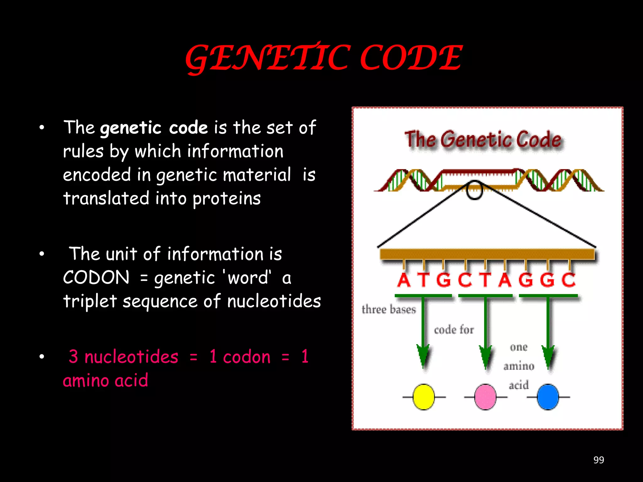 GENETIC CODE
• The genetic code is the set of
rules by which information
encoded in genetic material is
translated into proteins
•

The unit of information is
CODON = genetic 'word„ a
triplet sequence of nucleotides

•

3 nucleotides = 1 codon = 1
amino acid

99

 