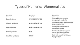 Types of Numerical Abnormalities
Condition Karyotype Description
Down Syndrome 47,XX+21 / 47,XY+21
Trisomy 21; most common
aneuploidy in live births
Edwards Syndrome 47,XX+18 / 47,XY+18
Trisomy 18; severe developmental
delay, clenched fists
Patau Syndrome 47,XX+13 / 47,XY+13
Trisomy 13; midline defects,
holoprosencephaly
Turner Syndrome 45,X
Female with only one X; short
stature, gonadal dysgenesis
Klinefelter Syndrome 47,XXY
Male with extra X; tall stature,
hypogonadism
 