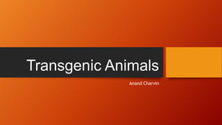 Transgenic Animals
Anand Charvin

 