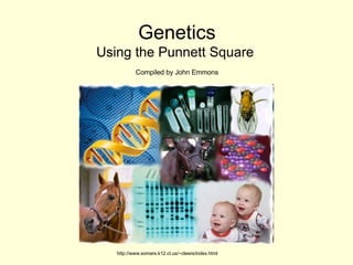 Genetics Using the Punnett Square  Compiled by John Emmons http://www.somers.k12.ct.us/~clewis/index.html 