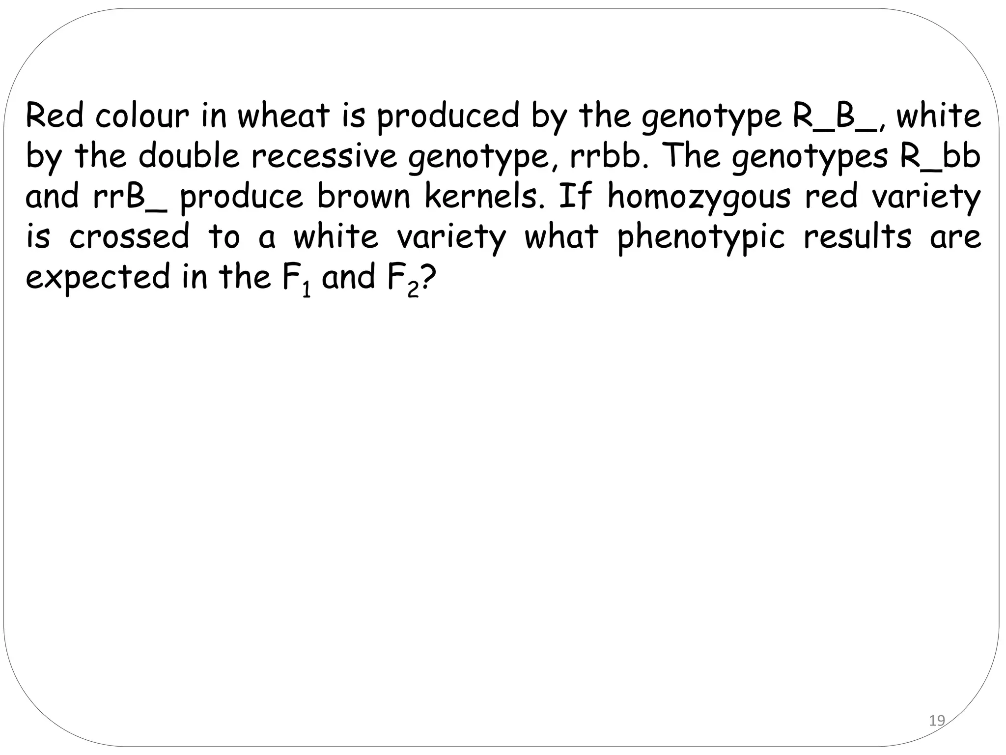 Red colour in wheat is produced by the genotype R_B_, white
by the double recessive genotype, rrbb. The genotypes R_bb
and rrB_ produce brown kernels. If homozygous red variety
is crossed to a white variety what phenotypic results are
expected in the F1 and F2?
19
 