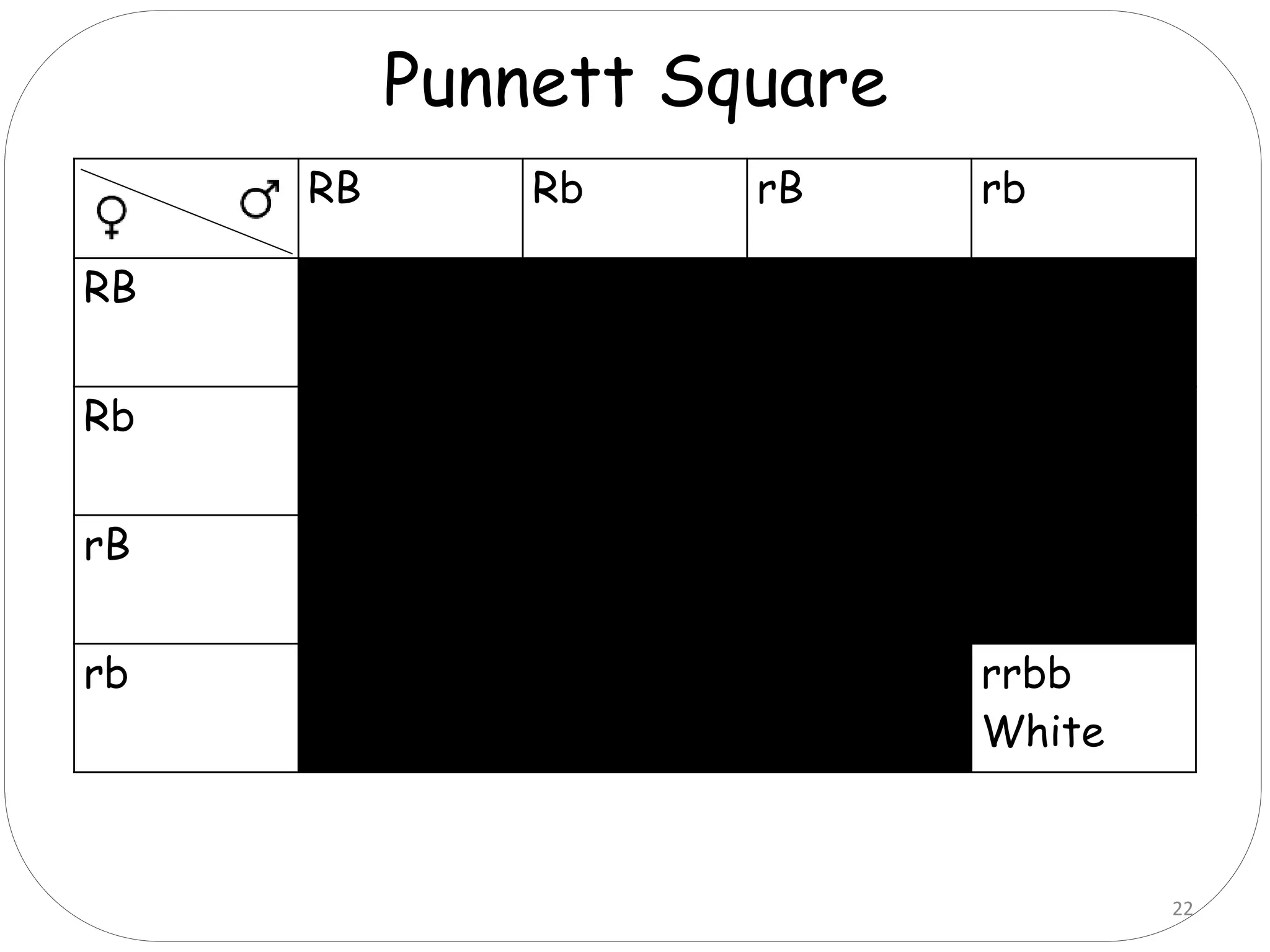 RB Rb rB rb
RB RRBB
Red
RRBb
Red
RrBB
Red
RrBb
Red
Rb RRBb
Red
RRbb
Brown
RrBb
Red
Rrbb
Brown
rB RrBB
Red
RrBb
Red
rrBB
Brown
rrBb
Brown
rb RrBb
Red
Rrbb
Brown
rrBb
Brown
rrbb
White
Punnett Square
22
 