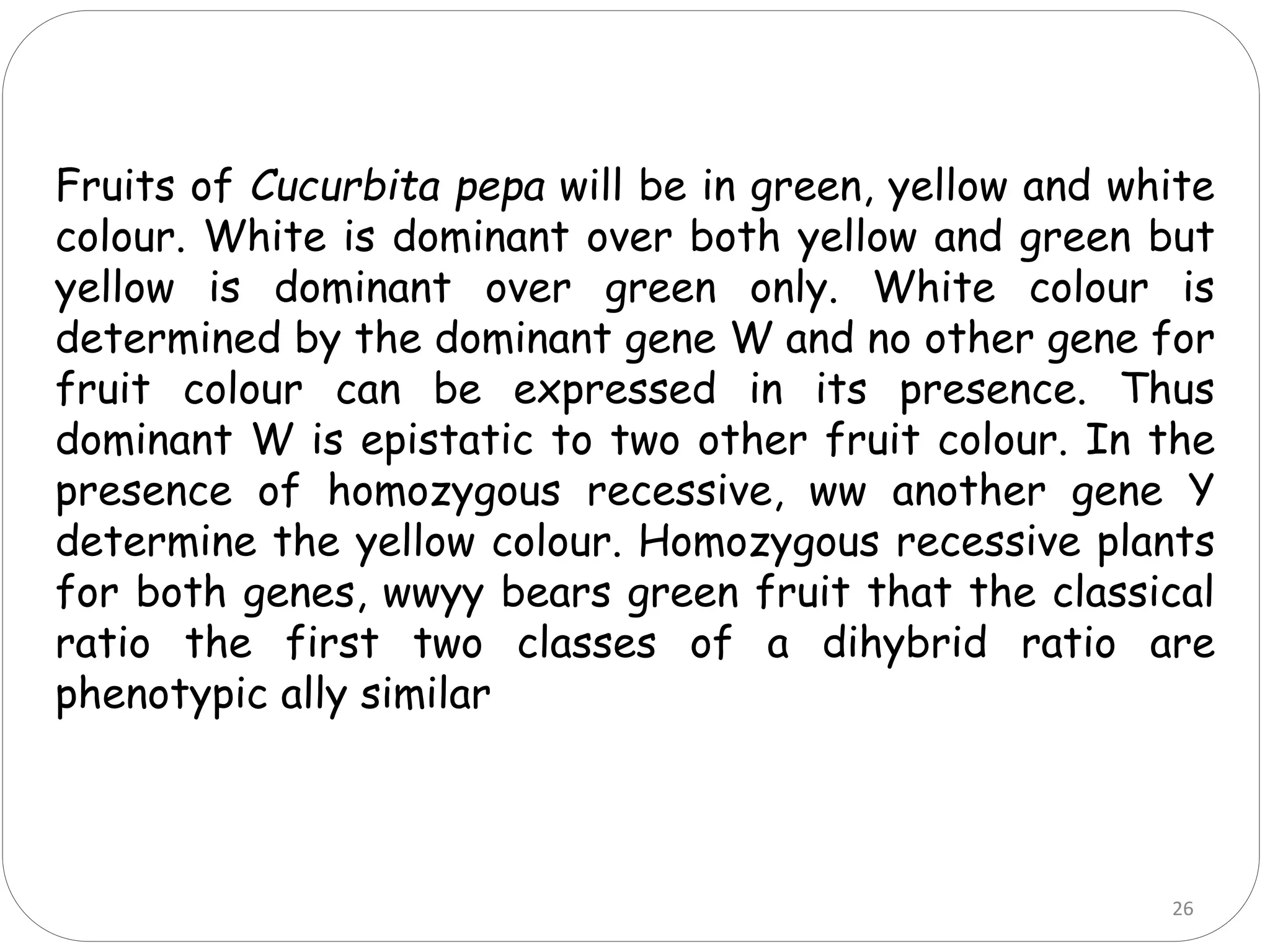 Fruits of Cucurbita pepa will be in green, yellow and white
colour. White is dominant over both yellow and green but
yellow is dominant over green only. White colour is
determined by the dominant gene W and no other gene for
fruit colour can be expressed in its presence. Thus
dominant W is epistatic to two other fruit colour. In the
presence of homozygous recessive, ww another gene Y
determine the yellow colour. Homozygous recessive plants
for both genes, wwyy bears green fruit that the classical
ratio the first two classes of a dihybrid ratio are
phenotypic ally similar
26
 