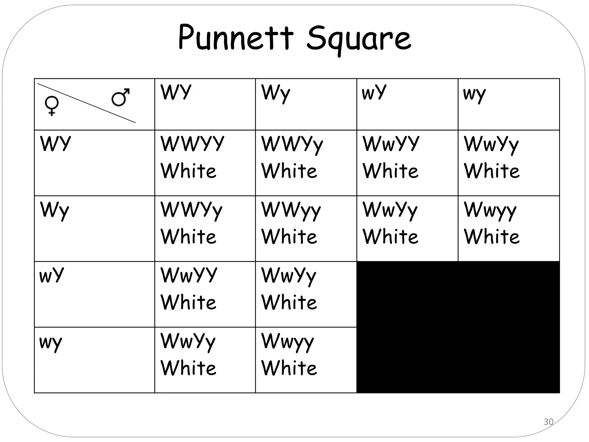 WY Wy wY wy
WY WWYY
White
WWYy
White
WwYY
White
WwYy
White
Wy WWYy
White
WWyy
White
WwYy
White
Wwyy
White
wY WwYY
White
WwYy
White
wwYY
Yellow
wwYy
Yellow
wy WwYy
White
Wwyy
White
wwYy
Yellow
wwyy
Green
Punnett Square
30
 