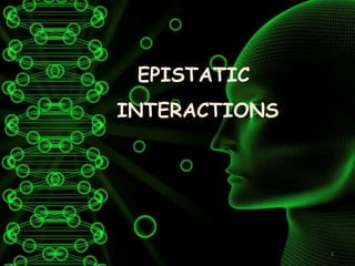 1
EPISTATIC
INTERACTIONS
 