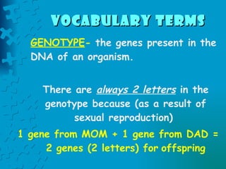 vocabulary terms   GENOTYPE -  the genes present in the DNA of an organism.   There are  always 2 letters  in the genotype because (as a result of sexual reproduction)  1 gene from MOM + 1 gene from DAD = 2 genes (2 letters) for   offspring 