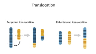 Translocation
 