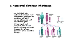 a.Autosomal dominant inheritance
• An individual with
autosomal dominant trait
will produce two types of
gametes-half with
normal alleles and half
with mutant gene
• Offspring of such
individual have 50:50
chance of being affected
irrespective of sex
(provided other parent is
normal)
 