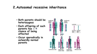2.Autosomal recessive inheritance
• Both parents should be
heterozygous
• Each offspring of such
parents has 1:4
chance of being
affected
• Occur sporadically in
outwardly normal
parents
 