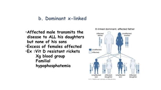 b. Dominant x-linked
•Affected male transmits the
disease to ALL his daughters
but none of his sons
•Excess of females affected
•Ex :Vit D resistant rickets
Xg blood group
Familial
hypophosphatemia
 