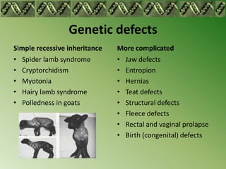 Genetic defects
Simple recessive inheritance   More complicated
• Spider lamb syndrome         • Jaw defects
• Cryptorchidism               • Entropion
• Myotonia                     • Hernias
• Hairy lamb syndrome          • Teat defects
• Polledness in goats          • Structural defects
                               • Fleece defects
                               • Rectal and vaginal prolapse
                               • Birth (congenital) defects
 