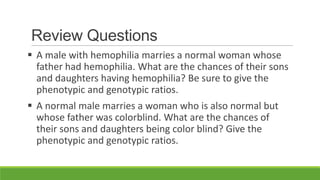 Review Questions
 A male with hemophilia marries a normal woman whose
  father had hemophilia. What are the chances of their sons
  and daughters having hemophilia? Be sure to give the
  phenotypic and genotypic ratios.
 A normal male marries a woman who is also normal but
  whose father was colorblind. What are the chances of
  their sons and daughters being color blind? Give the
  phenotypic and genotypic ratios.
 