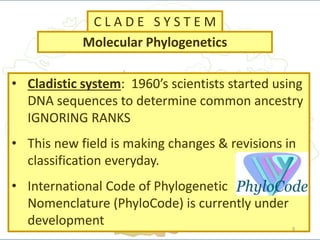 • Cladistic system: 1960’s scientists started using
DNA sequences to determine common ancestry
IGNORING RANKS
• This new f...