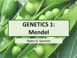 GENETICS 1:
Mendel
Robin D. Seamon
 