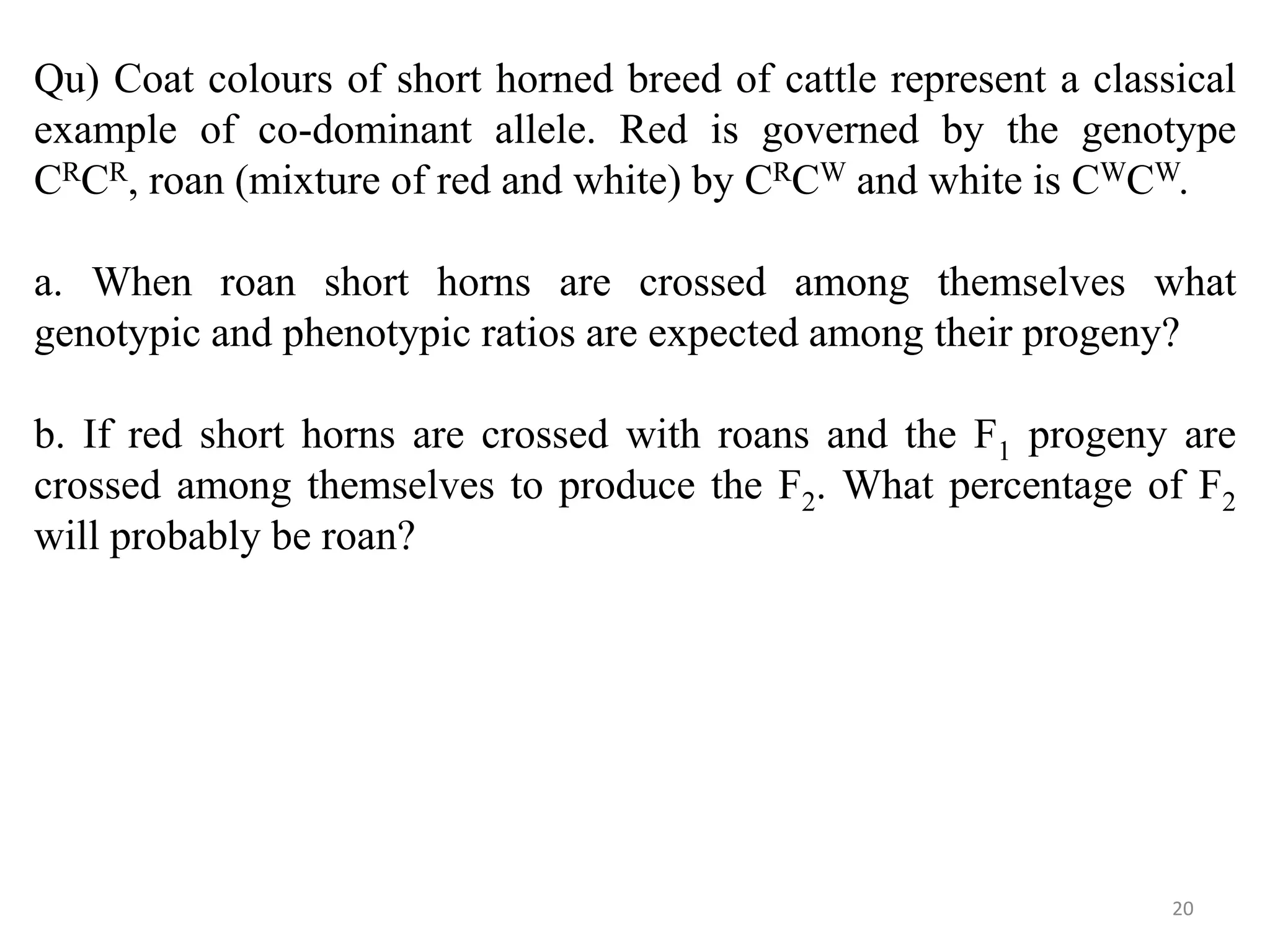 20
Qu) Coat colours of short horned breed of cattle represent a classical
example of co-dominant allele. Red is governed by the genotype
CRCR, roan (mixture of red and white) by CRCW and white is CWCW.
a. When roan short horns are crossed among themselves what
genotypic and phenotypic ratios are expected among their progeny?
b. If red short horns are crossed with roans and the F1 progeny are
crossed among themselves to produce the F2. What percentage of F2
will probably be roan?
 