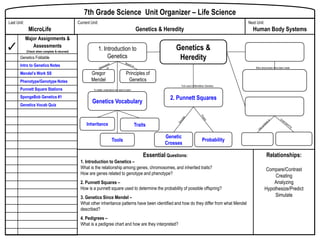 Introduction to Genetics PowerPoint | PPTX